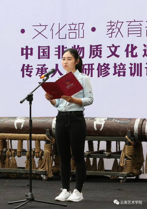 创意苍原 云南艺术学院设计学院2017民族文化主题创意活动盛大启幕