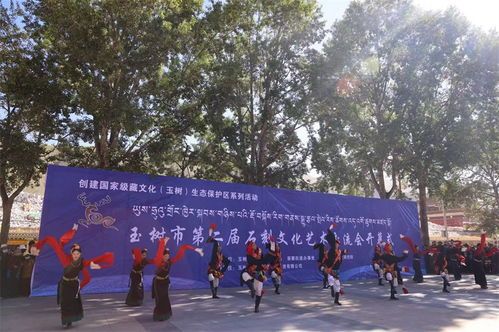 玉树市第二届石刻文化艺术交流会开幕